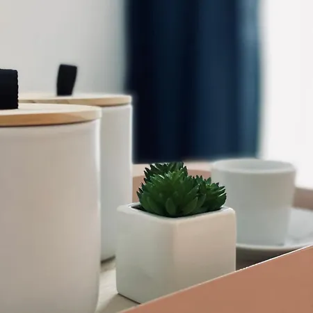 아파트 Wanderlust