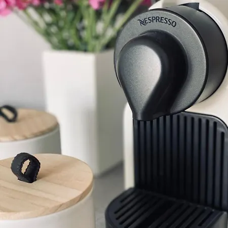 Wanderlust * 트리어